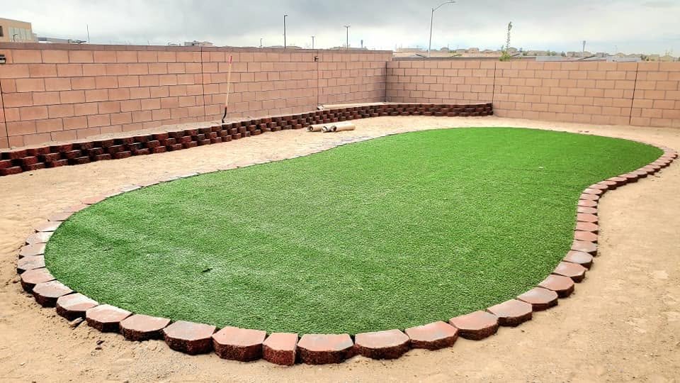 Pet artificial grass in Albuquerque