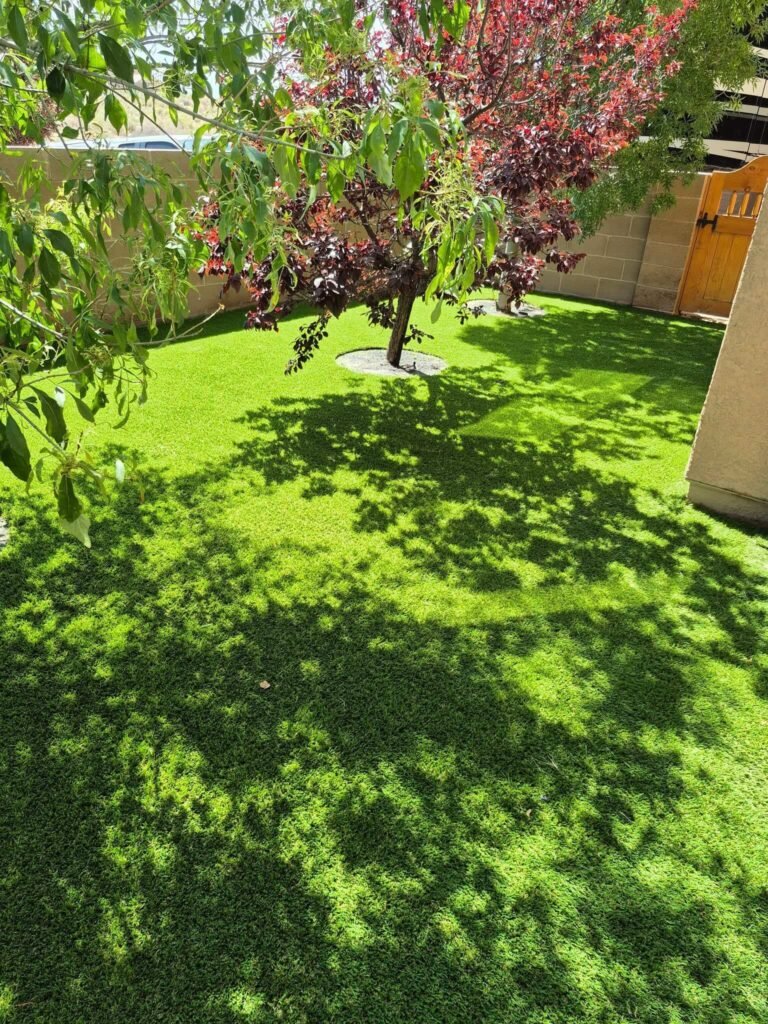 Artificial lawn replacement in Albuquerque NM