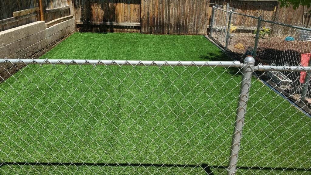 Pet turf surrounded by chain link fencing in Albuquerque